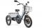 Электро фэтбайк GREEN CITY e-ALFA Trike